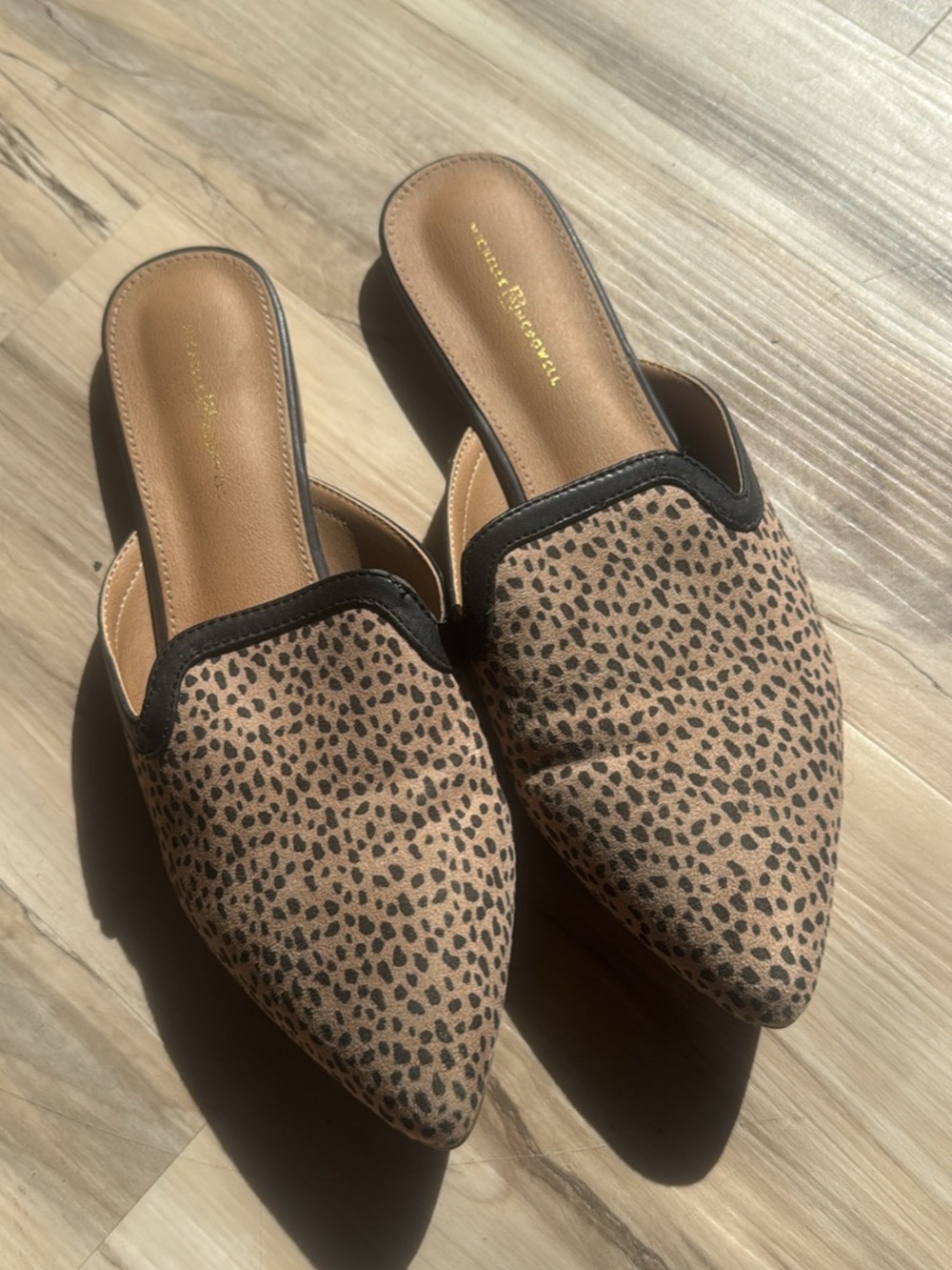 Mules - Picture 1 of 4